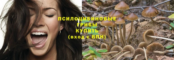 ECSTASY Богородск
