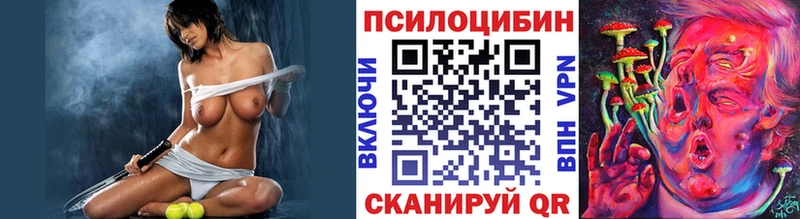 где купить   Моршанск  Галлюциногенные грибы Psilocybine cubensis 